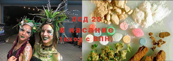 спайс Арсеньев