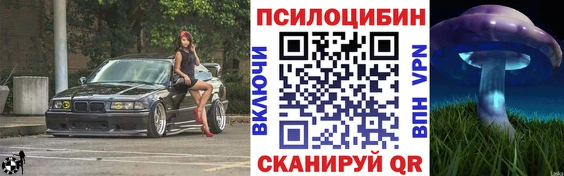 Галлюциногенные грибы Psilocybine cubensis  наркотики  Тайшет 